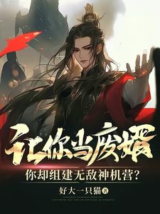 《让你当废婿,你却组建无敌神机营?》