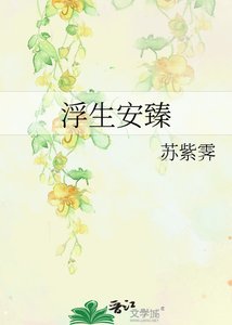 《浮生安臻》