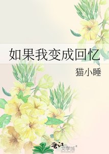 《如果我变成回忆》