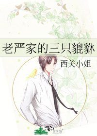 老严家的三只貔貅