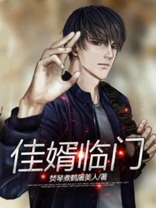 《佳婿临门》