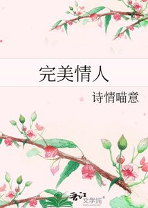 《完美情人》