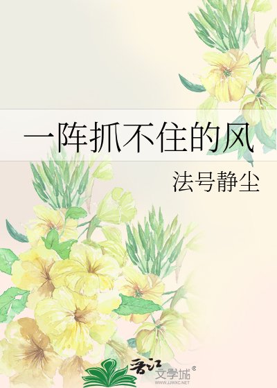 《一阵抓不住的风》