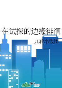 《在試探的邊緣徘徊》