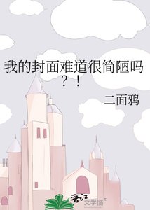 《我的封面难道很简陋吗?!》