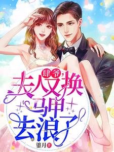 《肆爷,夫人又换马甲去浪了》