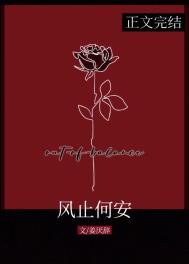 《风止何安》