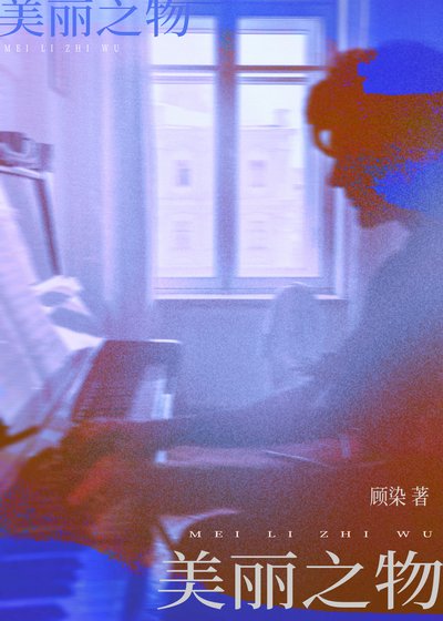 《美丽之物》