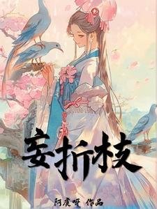 《妄折枝》