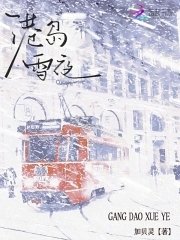 《港島雪夜》