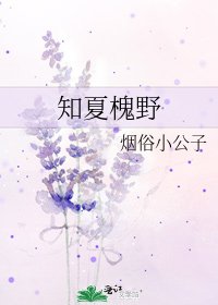《知夏槐野》
