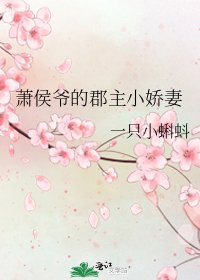 《萧侯爷的郡主小娇妻》