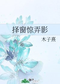 择窗惊弄影