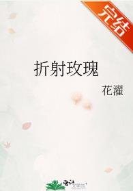 《折射玫瑰》