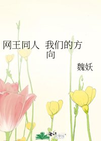 《网王同人 我们的方向》