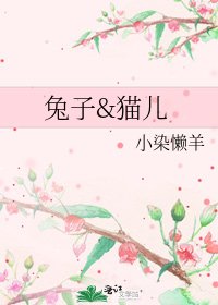 兔子&猫儿