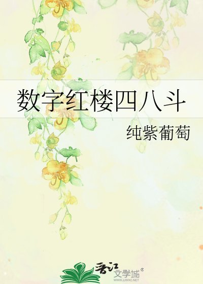 《数字红楼四八斗》