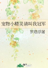 《宠物小精灵请叫我冠军》