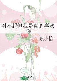 《对不起但我是真的喜欢你》