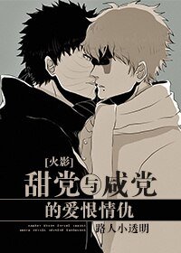 （BL/火影同人）[火影卡帶]甜黨與鹹黨的愛恨情仇