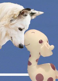 (BL/社交网络同人)Geronimo安全降落 ME