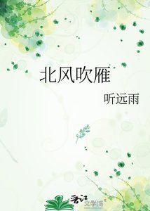 《北风吹雁》