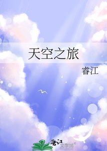 《天空之旅》