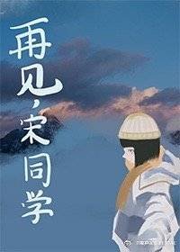 《再见,宋同学》