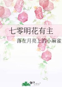 《七零明花有主》