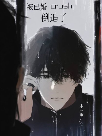 《被已婚crush倒追了(重生)》