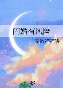 《闪婚有风险》