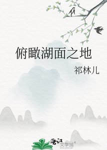《俯瞰湖面之地》