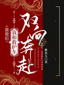 《流放路,我和救护车双向奔赴》