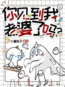 《你见到我老婆了吗?》