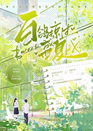 《白鸽掠过盛夏》