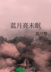 《蓝月亮未眠》