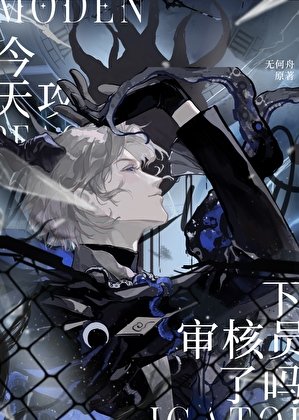 《今天攻下审核员了吗?》