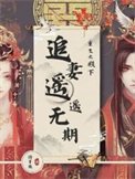 重生之殿下追妻遙遙無期