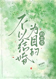 《不以结婚为目的恋爱》