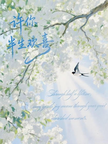 《许你半生欢喜》
