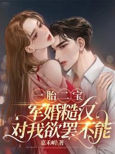 一胎二宝,军婚糙汉对我欲罢不能