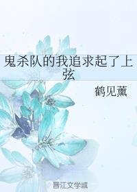 《(鬼灭之刃同人)鬼杀队的我追求起了上弦》