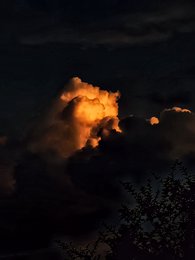 不悄悄