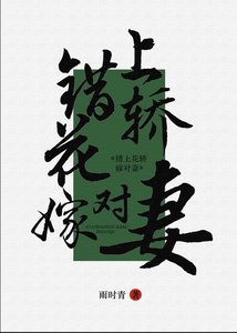 錯上花轎嫁對妻(女尊)