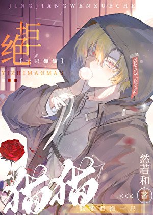 《猫耳信号满格》