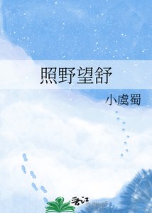 《照野望舒》