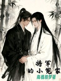 《将军的小冤家》