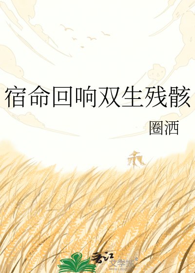 《宿命回响双生残骸》
