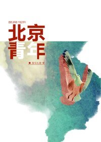 (BL/全职高手同人)北京青年