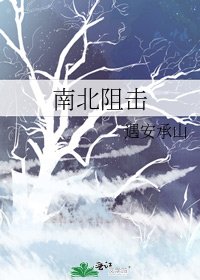 《南北阻击》